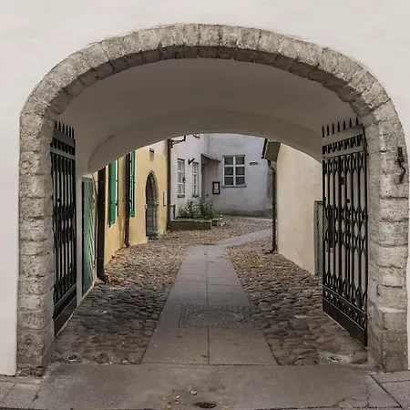 Pueha Vaimu Kuelaliskorter Apartment Reval