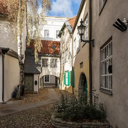 Pueha Vaimu Kuelaliskorter Reval