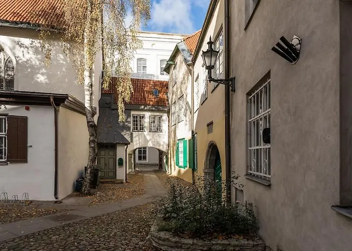 Pueha Vaimu Kuelaliskorter Tallinn