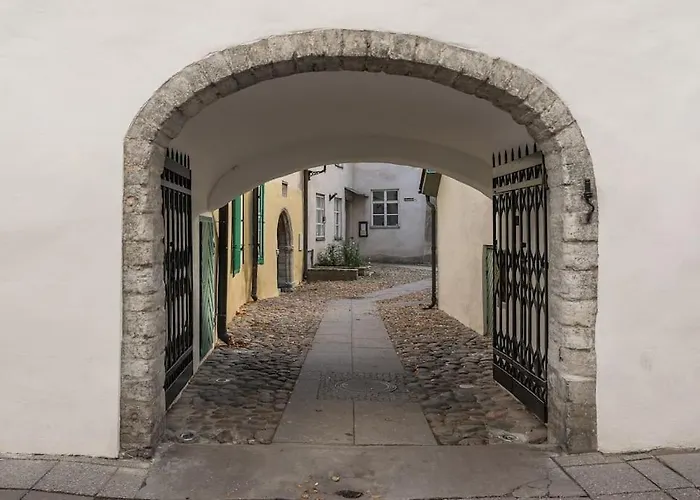 Pueha Vaimu Kuelaliskorter דירה טאלין